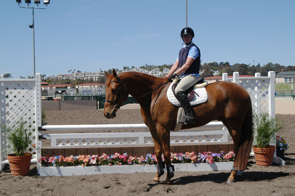 Cowboy at DelMar sale spring 2006